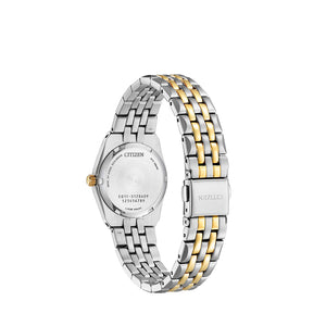 Men's Eco-Drive Citizen Watches