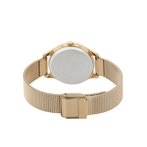 Men's Eco-Drive Citizen Watches