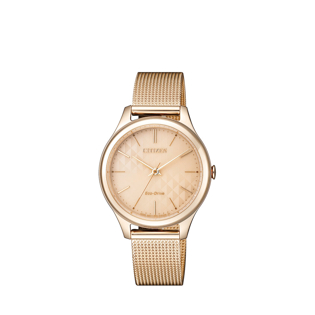 Men's Eco-Drive Citizen Watches